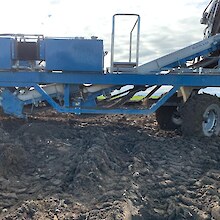 Parsnip Harvester