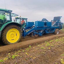 Parsnip Harvester